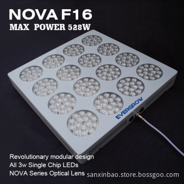 Evergrow Factory Hydroponic Growing Systems CE RoHS 3 Years Warranty Full Spectrum LED Grow Light